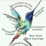 Gloria Badillo - @gloriabadillo22 - Instagram