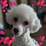 Gloria Bateman Kamrath - @gloriabatemankamrath - Instagram