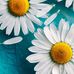 Gloria Benedict - Facebook