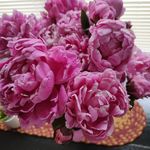 Gloria Benedict - @gloria_benedict - Instagram