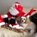 Gloria Berryman - Facebook