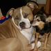 Gloriana Bortoluzzi - Facebook