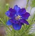 Gloria Blocker - Facebook