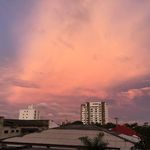 Gloria Botero - @memoria_graficadebarranquilla_ - Instagram