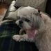 Gloria Bouchard - Facebook