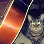 Gloria bourque - @gloria_b.83 - Instagram