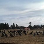 Gloria Bowman - @bowtruck - Instagram