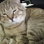 Gloria burnside - @gloria19561982 - Instagram