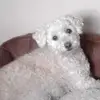 Gloria Keegan Burnsi - @gloriakeeganburnside - TikTok