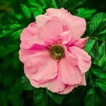 Gloria Burrell - @gloria.burrell.7399 - Instagram