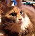 Gloria Busch - Facebook