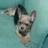 Gloria Cáceres - @gloriacáceres - TikTok