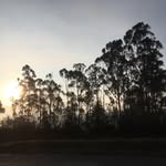 Gloria Caicedo Montaño - @gloriacaicedomontano - Instagram