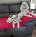 Gloria Camfield - Facebook