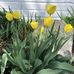 Gloria Campfield - Facebook
