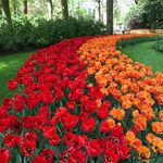Gloria Carpenter - @gloria.carpenter.104 - Instagram