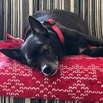 Gloria Carpenter - @grc2e0 - Instagram
