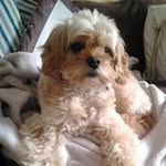 Gloria Carpenter - @nannaglo64 - Instagram
