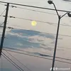 Gloria carrera - @gloriacarrera91 - TikTok