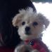 Gloria Carrera - Facebook