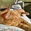 Gloria Cates - @gloria.cates6 - TikTok