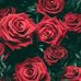 Gloria Ceja - Facebook
