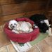 Gloria Chestnut - Facebook