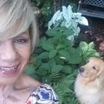 Gloria Clements - @gloria.clements.50 - Instagram