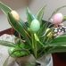 Gloria Comer - Facebook