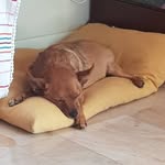 Gloria Compiani - @gloriacompiani - Instagram