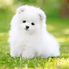 Gloria Connell - @youfollowifollowbackkkk - TikTok