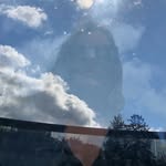 Gloria Conrad - @meandwoods - Instagram
