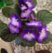 Gloria Conrad - Facebook