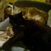 Gloria Eva Conrad - Facebook
