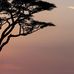 Gloria Conroy - Facebook