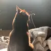 gloria - @gloria.v.cooke12 - TikTok