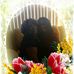 Gloria Corley - Facebook