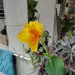 Gloria Cotto - Facebook