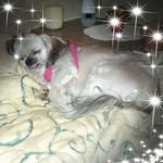 Cookie Cooke Crews - @gloria.crews.50 - Instagram