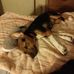 Gloria Crews - Facebook
