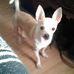 Gloria Cribbs - Facebook