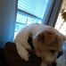 Gloria Dean Cryer - Facebook