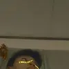 Cyrus Igloria - @cyrusigloria887 - TikTok