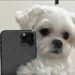 Gloría Dávalos - @davalos5620 - Instagram