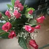 Gloria Davalos - @angelitowings - TikTok