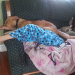 Gloria Dewitt - @mansteennote - Instagram