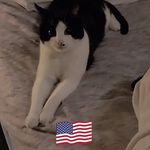 Gloria Dewitt - @globug4126 - Instagram