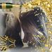Gloria Doty - Facebook