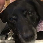 Gloria Dow - @dow8598 - Instagram