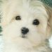 Gloria Downey - Facebook